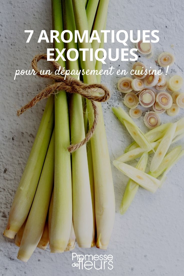 aromáticas exóticas