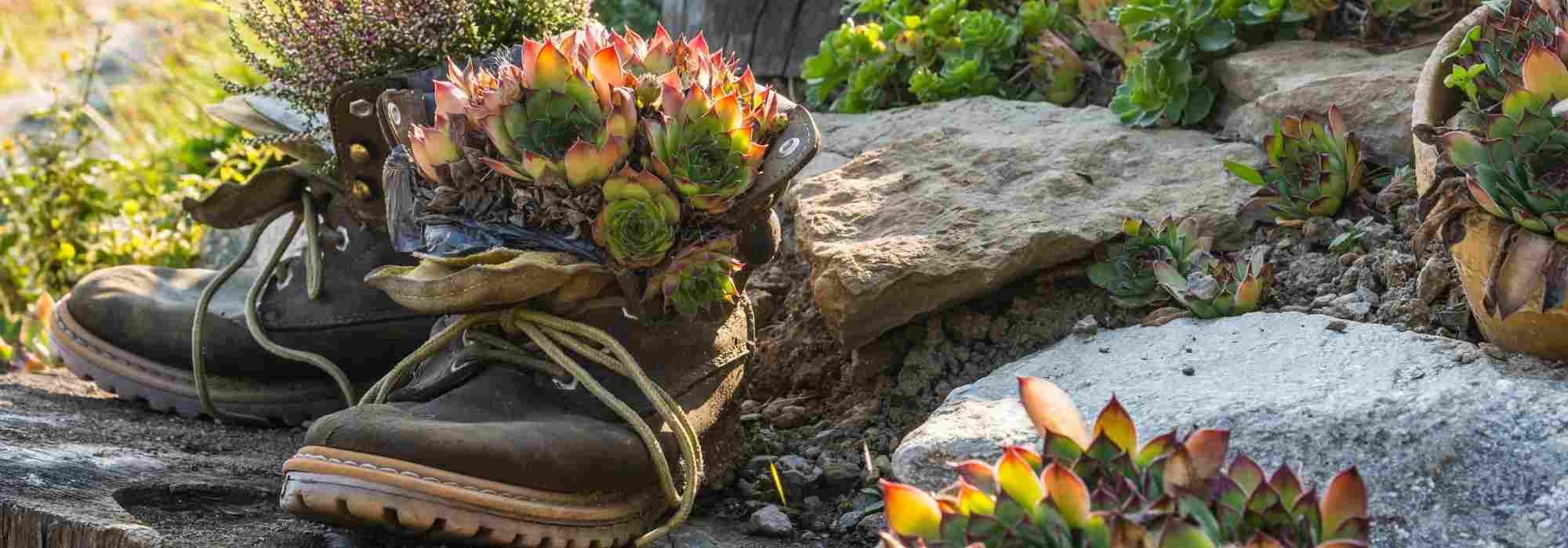 Ideia de decoração: plantas em recipientes invulgares