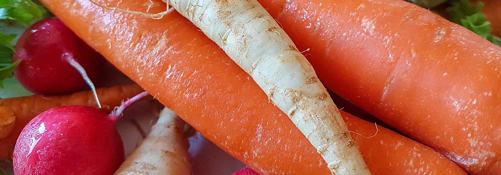 5 legumes de raiz para horta na montanha