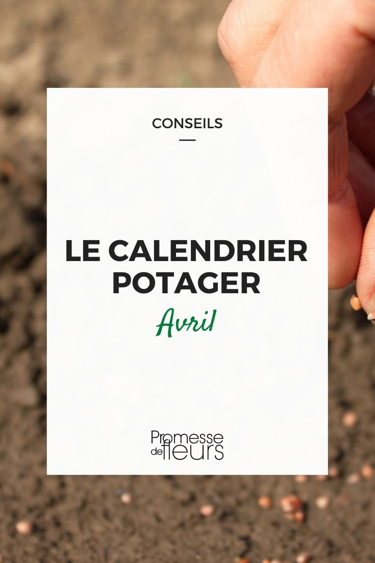 calendário da horta em abril