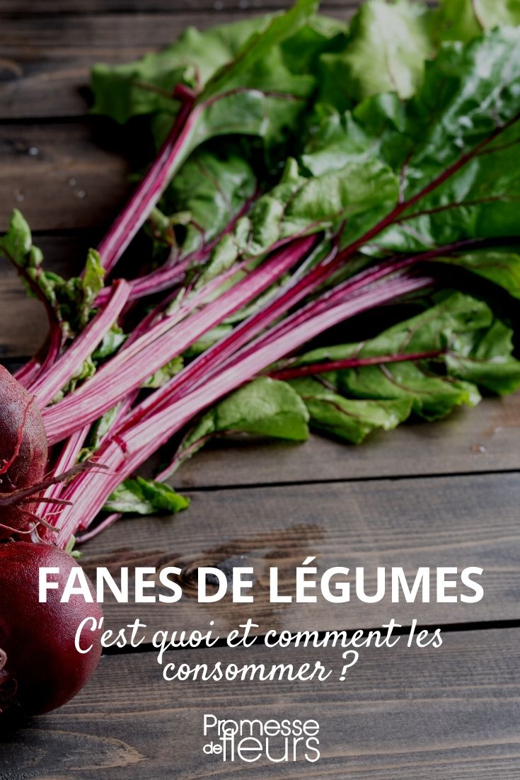 folhas e talos de legumes