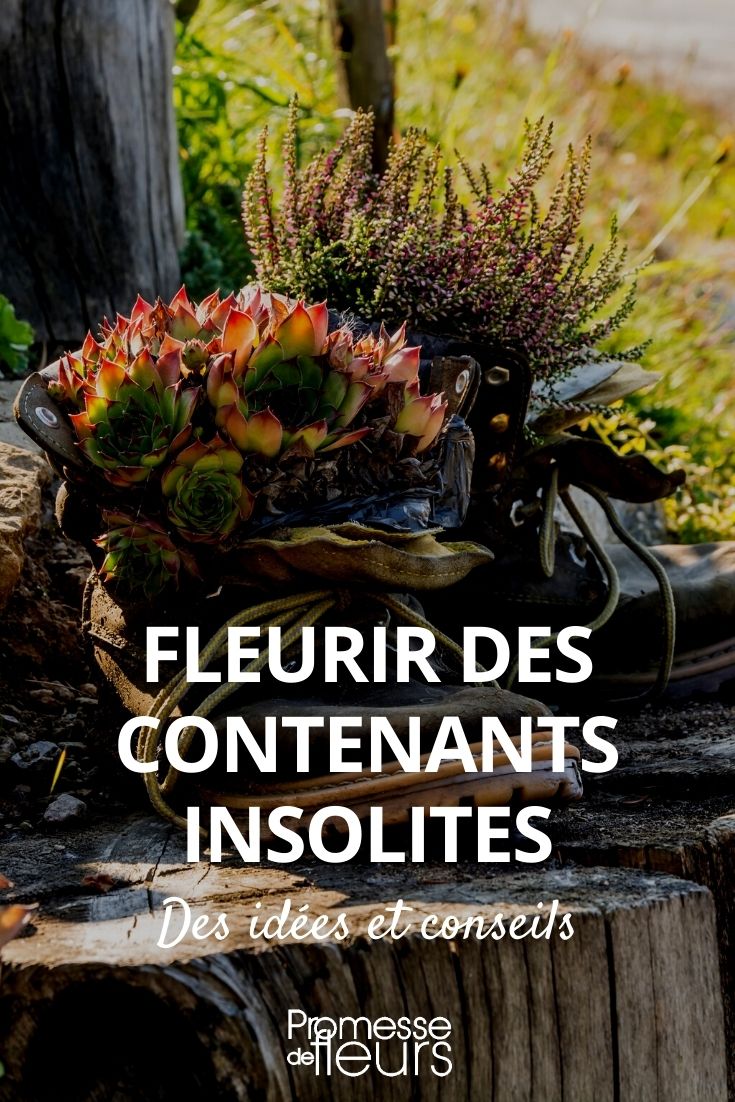 fazer florescer recipientes invulgares