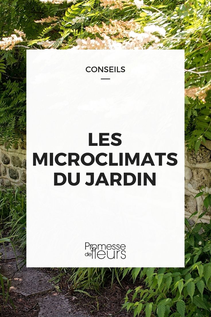 microclimas no jardim