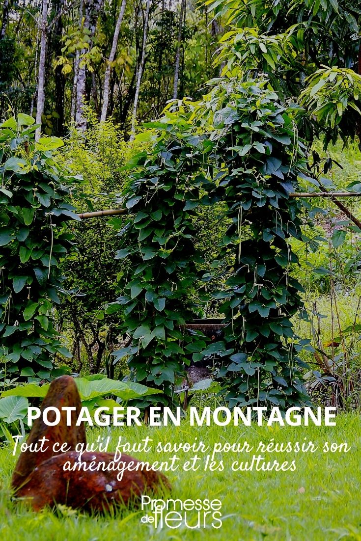 permacultura em montanha