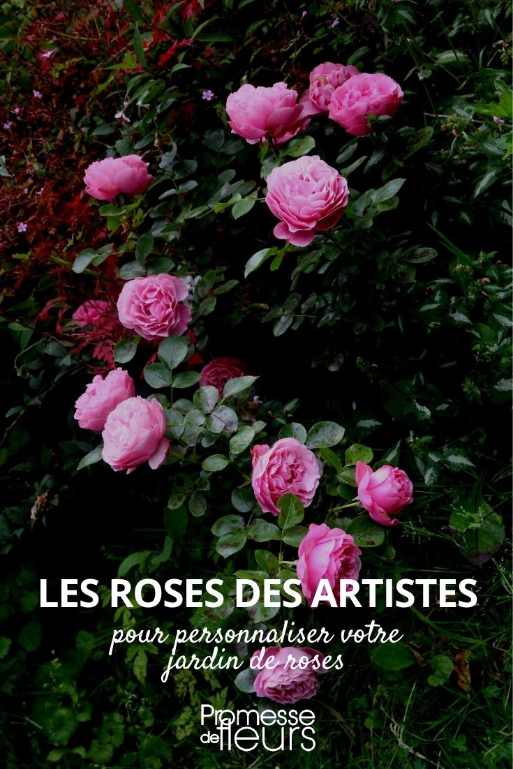 roseiras com nomes de pintores