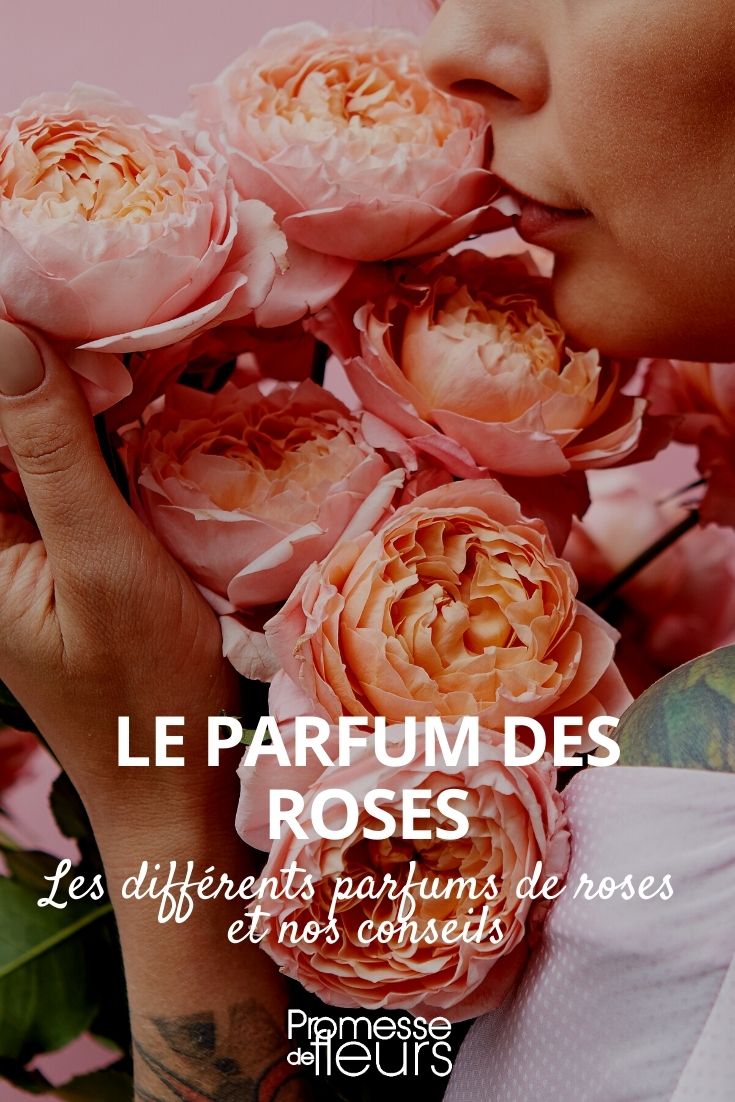 perfume das roseiras