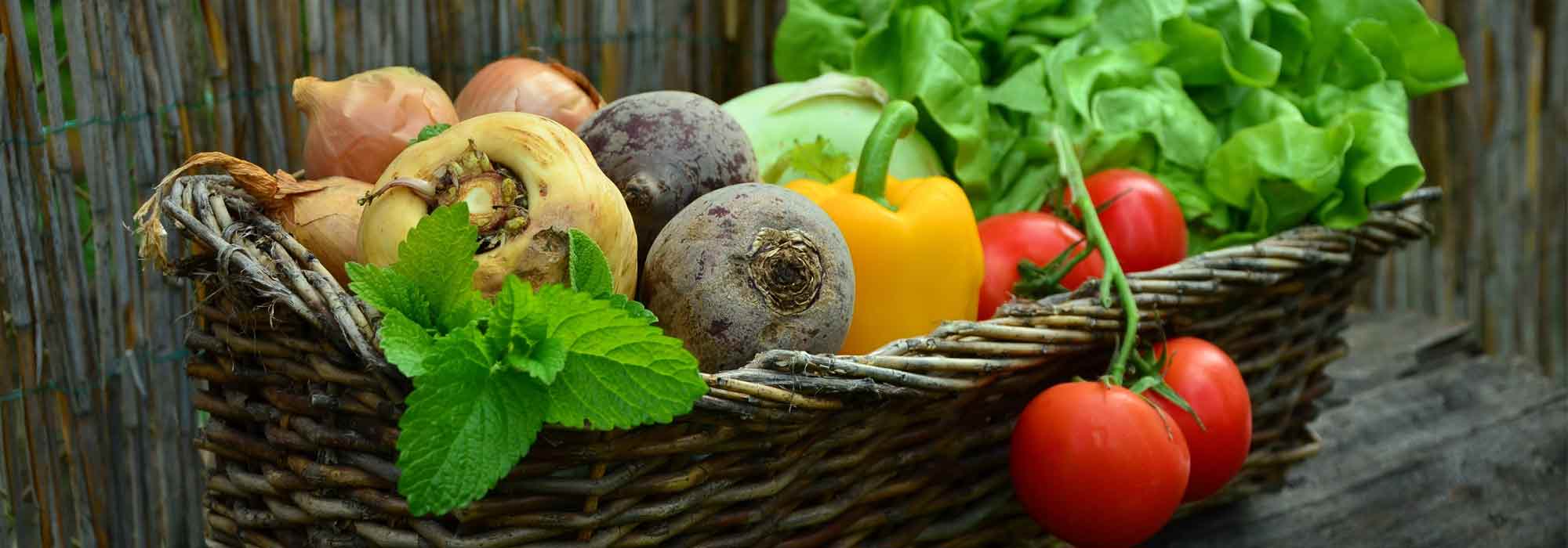 Horta: Como planear e escalonar as colheitas?