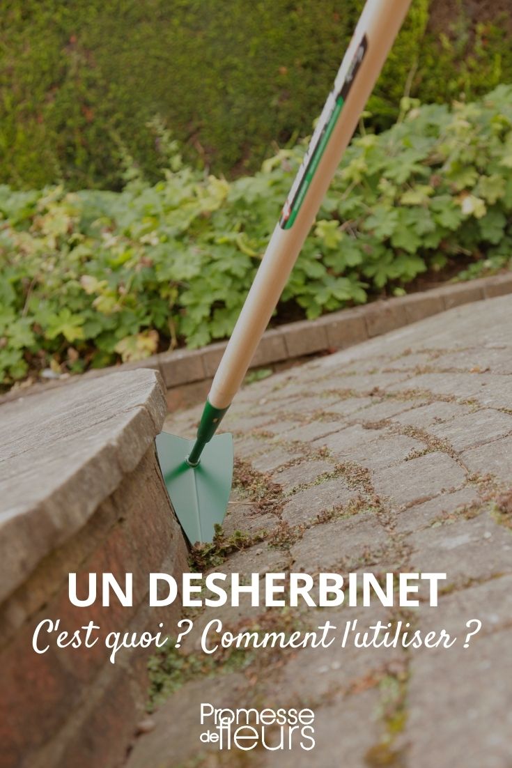 deserbante