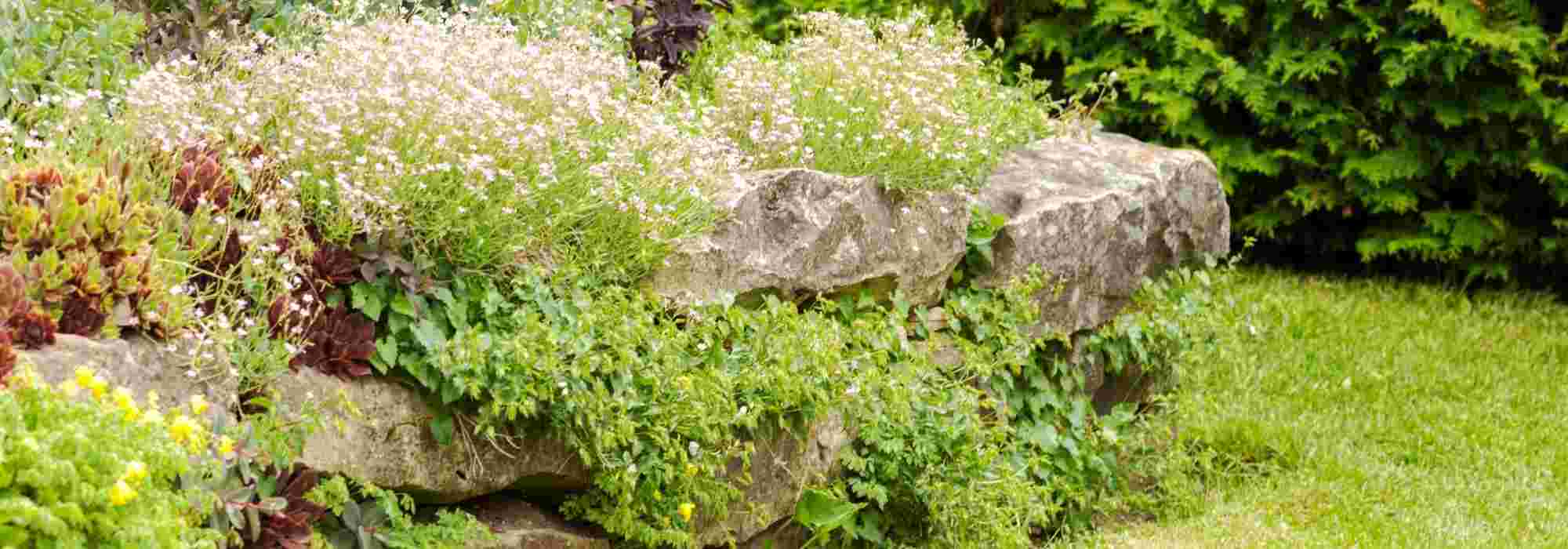 Como enfeitar um murete com flores?