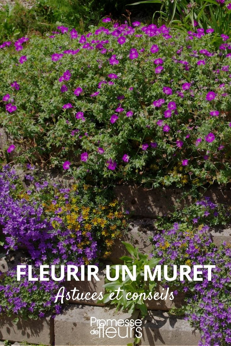 fazer um muro florido