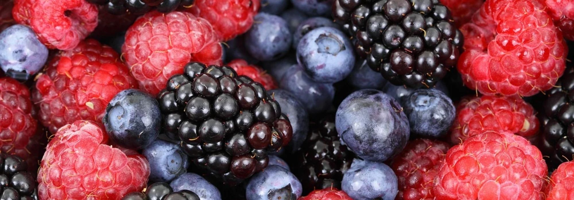 5 pequenos frutos vermelhos para principiantes