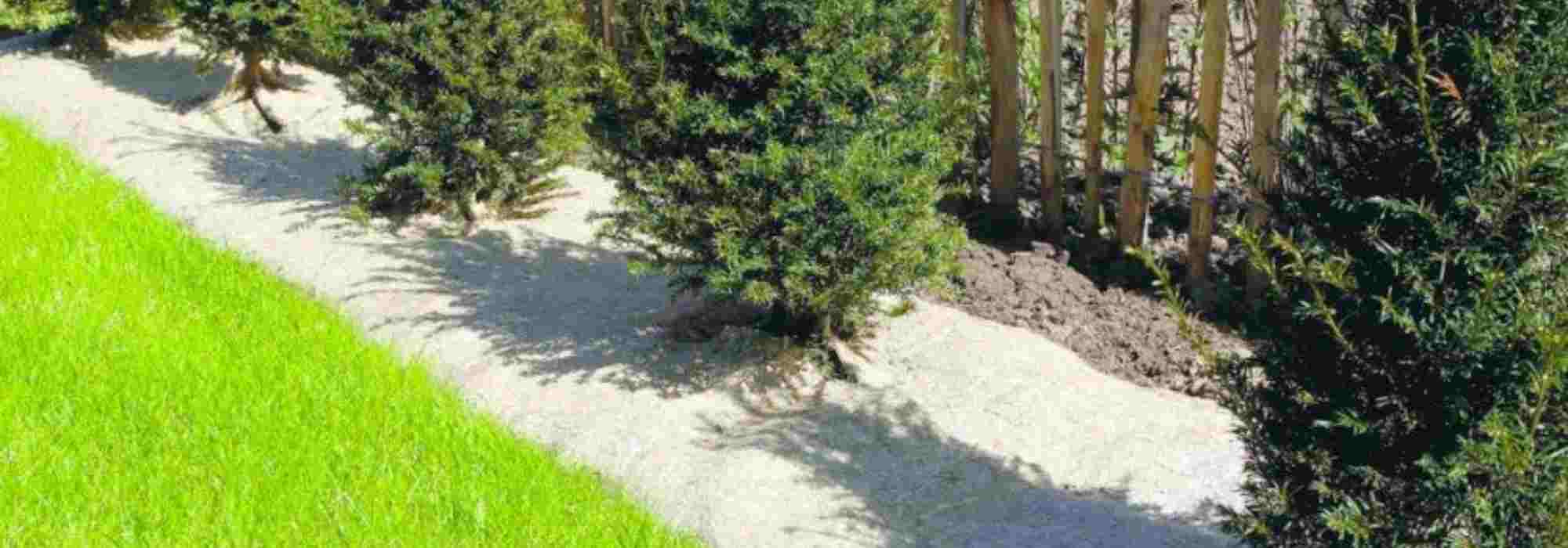 Linho, cânhamo, juta, lã… quais são estas novas telas de mulching biodegradáveis?