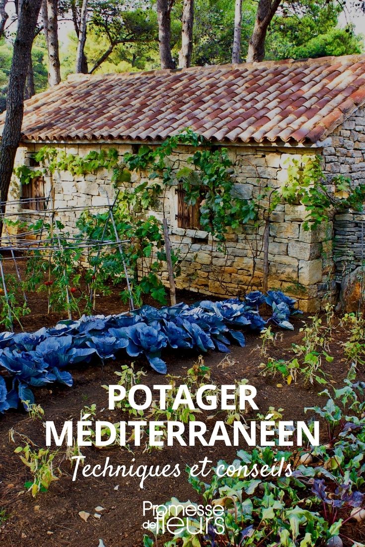 jardim mediterrânico