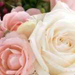 10 conselhos para criar belos ramos de rosas