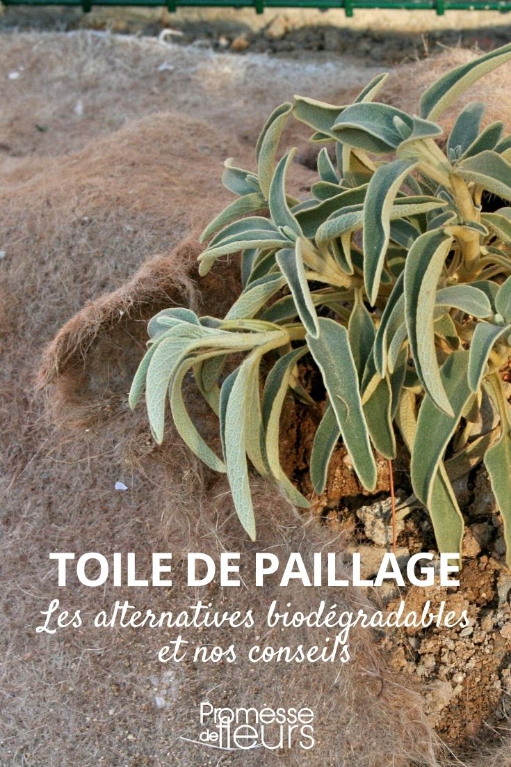 tela de cobertura biodegradável