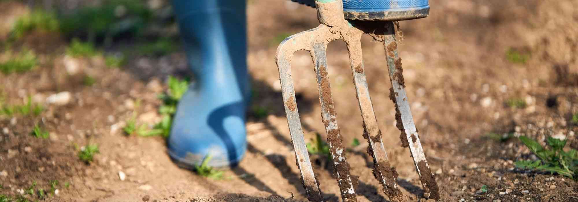 Como cavar uma terra demasiado dura?