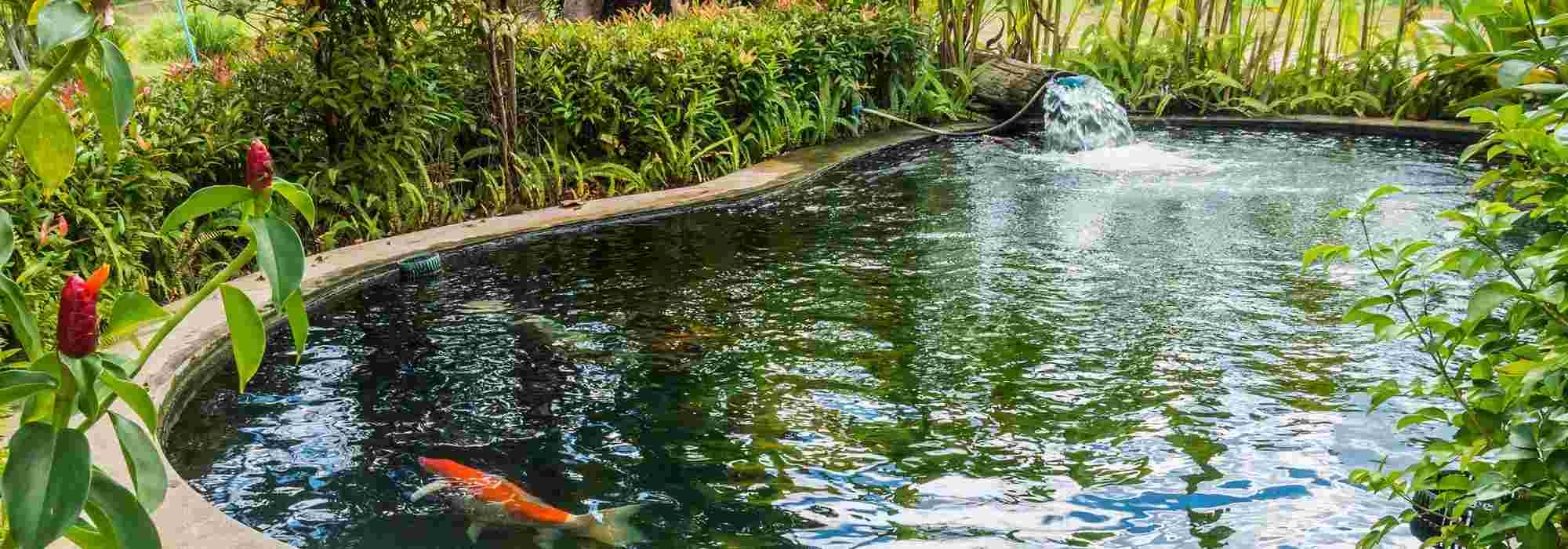 Instalar um lago pré-formado