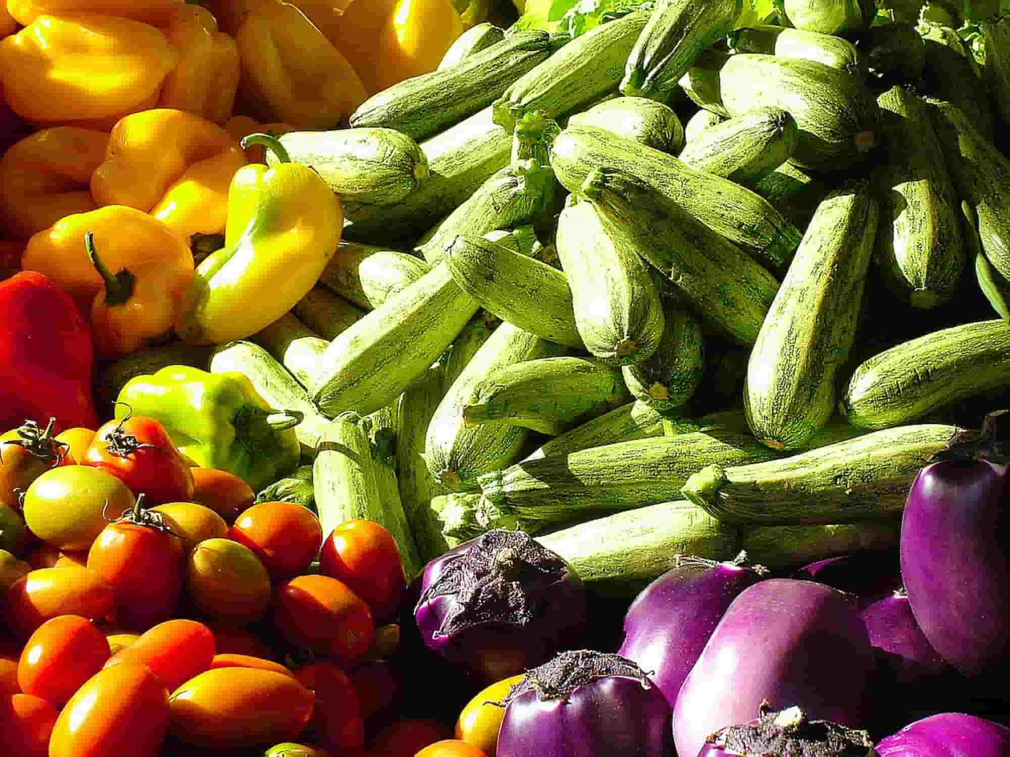 Horta no Sul: que legumes cultivar?
