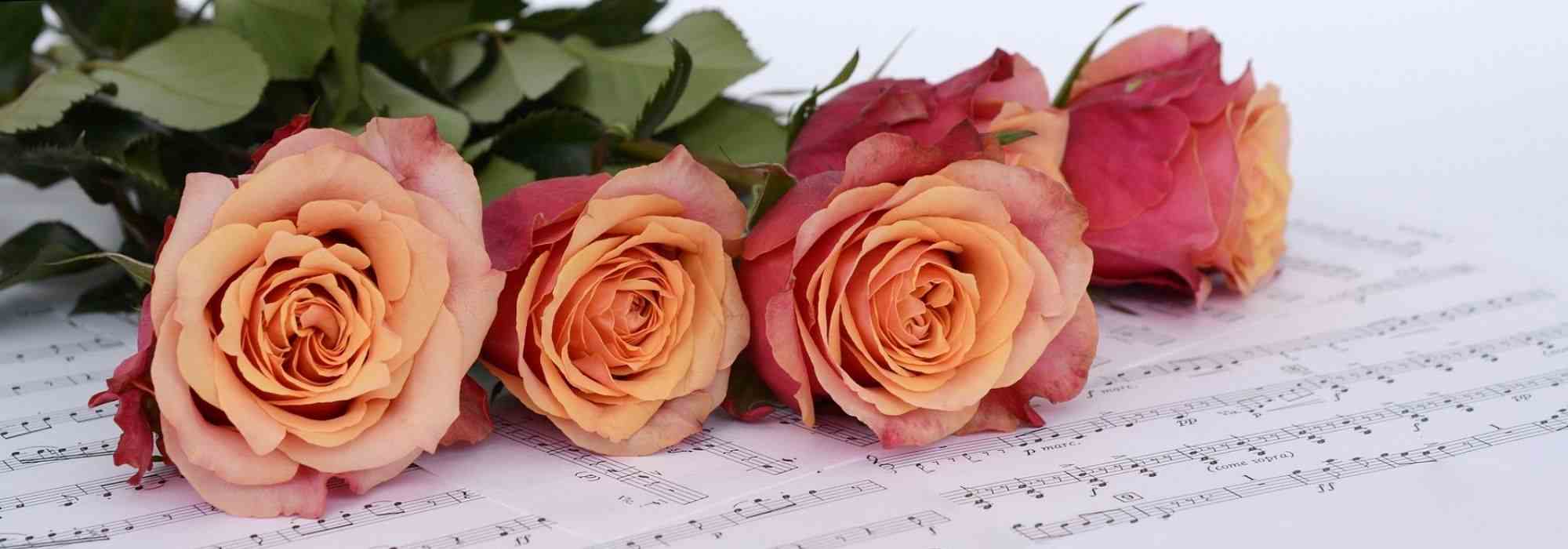 As roseiras e a música