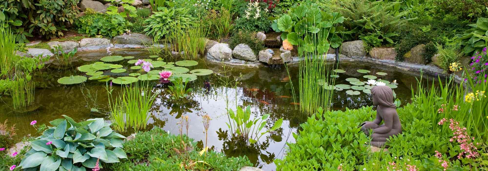 Os erros a evitar na instalação de um lago de jardim