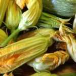 Fazer filhós de flores de curgete