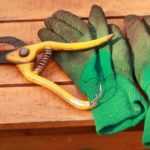 Como escolher as suas luvas de jardinagem?