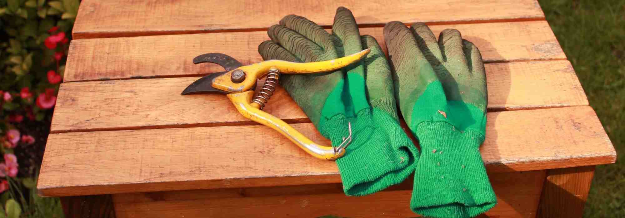Como escolher as suas luvas de jardinagem?