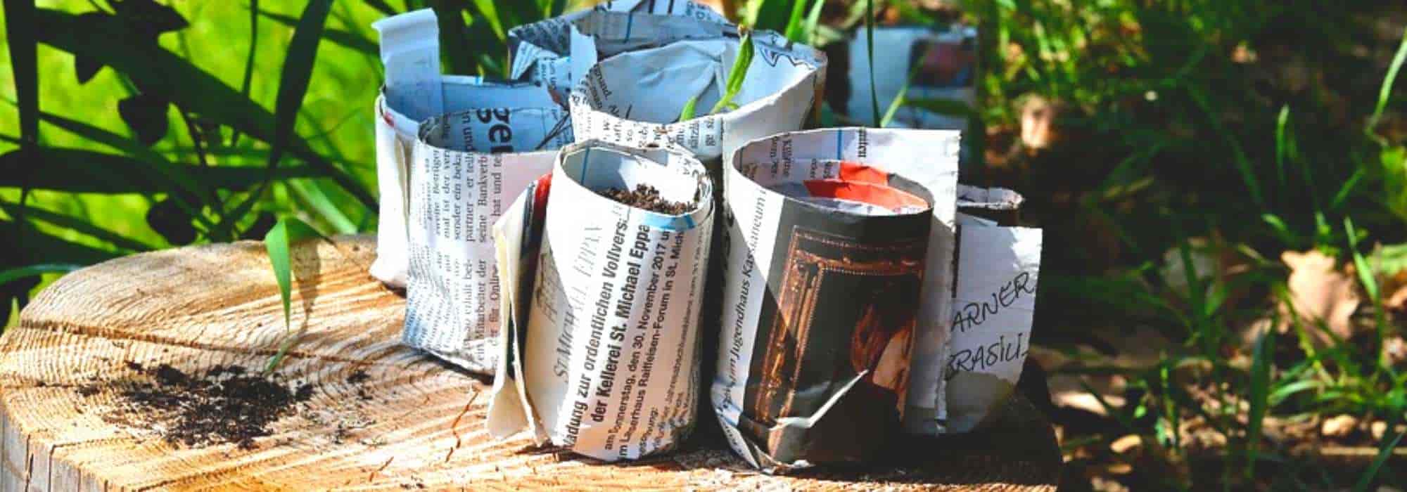 Prensa para vasos em papel