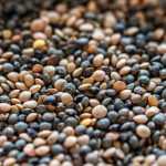 E se começasse a cultivar lentilhas?