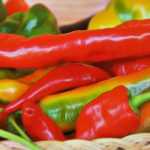 Escolher pimentos e malaguetas