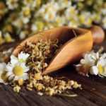 Como secar as flores de camomila?