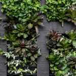 Como fazer uma parede vegetal exterior?
