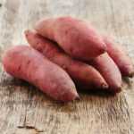 Plantar mini-torrões de batata-doce