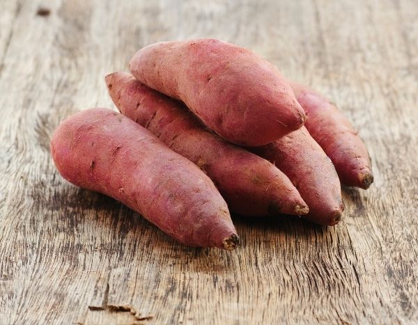 Plantar mini-torrões de batata-doce