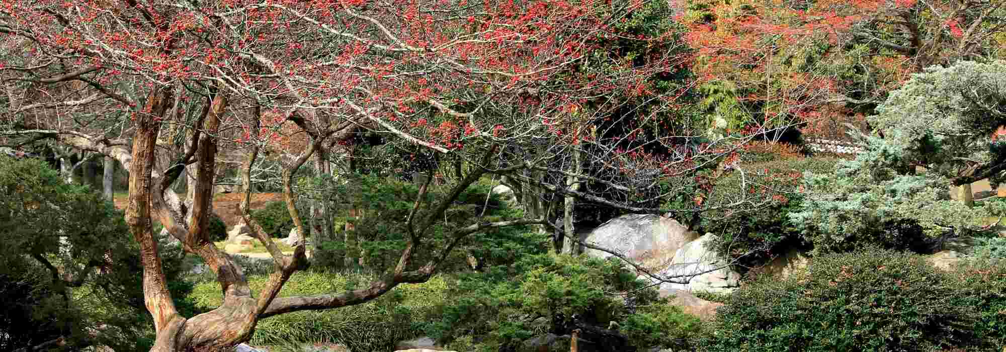Planear um jardim para as quatro estações