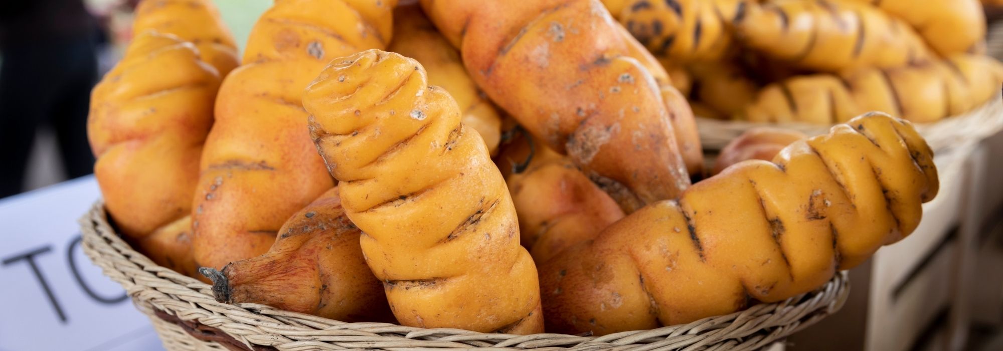 Oca-do-Peru: cultivo, plantação, colheita