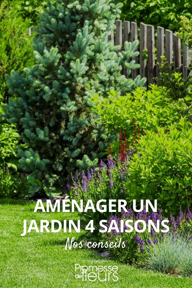 jardim para as quatro estações: como o planear, jardim florido todo o ano, um jardim bonito todo o ano