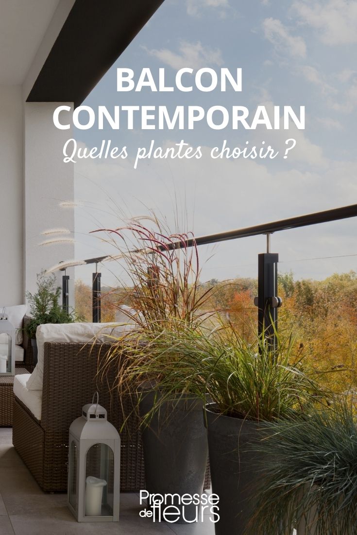 varanda contemporânea que plantas escolher