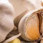 Chorume de alho ou decocção de alho: receita e utilizações no jardim
