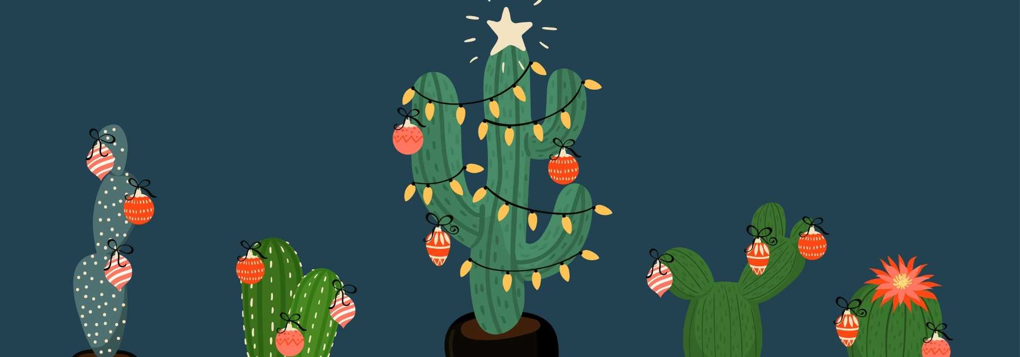 As nossas 7 alternativas ao abeto de Natal
