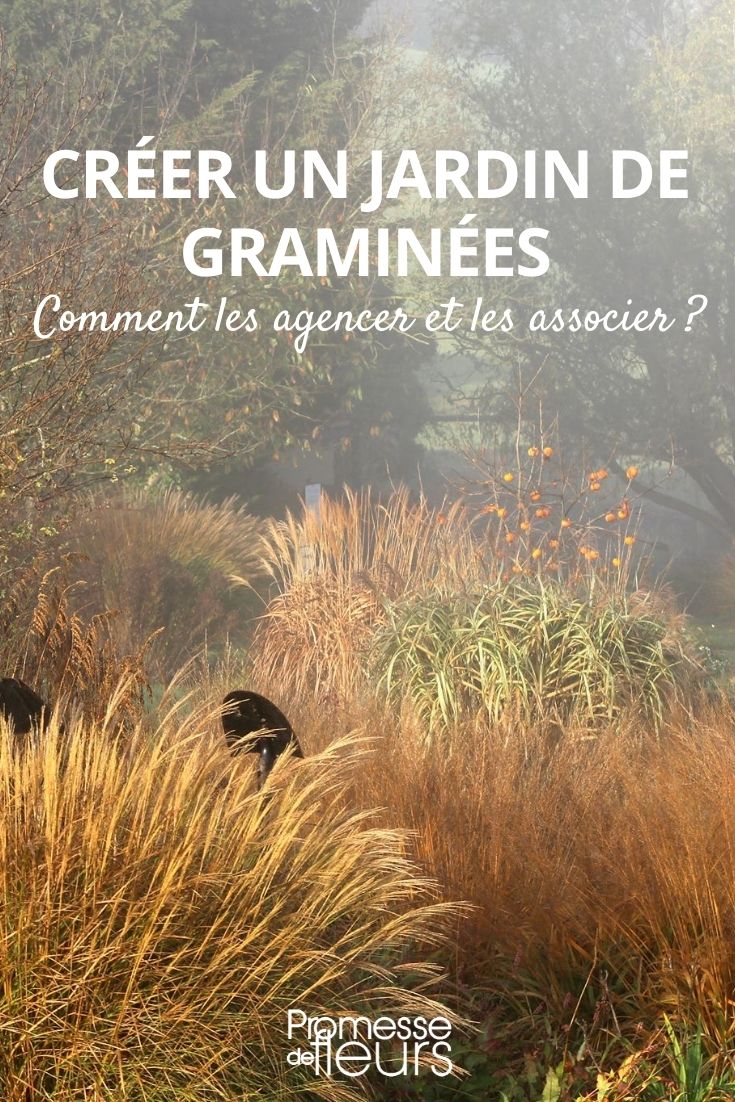 jardim de gramíneas