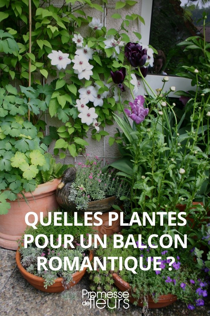 que plantas escolher para uma varanda romântica, vegetalizar uma varanda romântica, varanda romântica, terraço romântico
