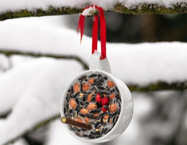 Fazer um comedouro suspenso de sementes para as aves no inverno
