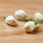 Secar as flores de jasmim