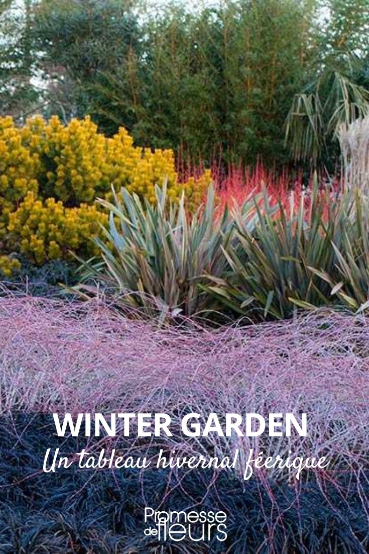 jardim de inverno, jardim de inverno