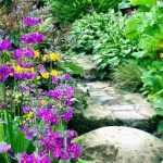 Plantas perenes: como escolher?