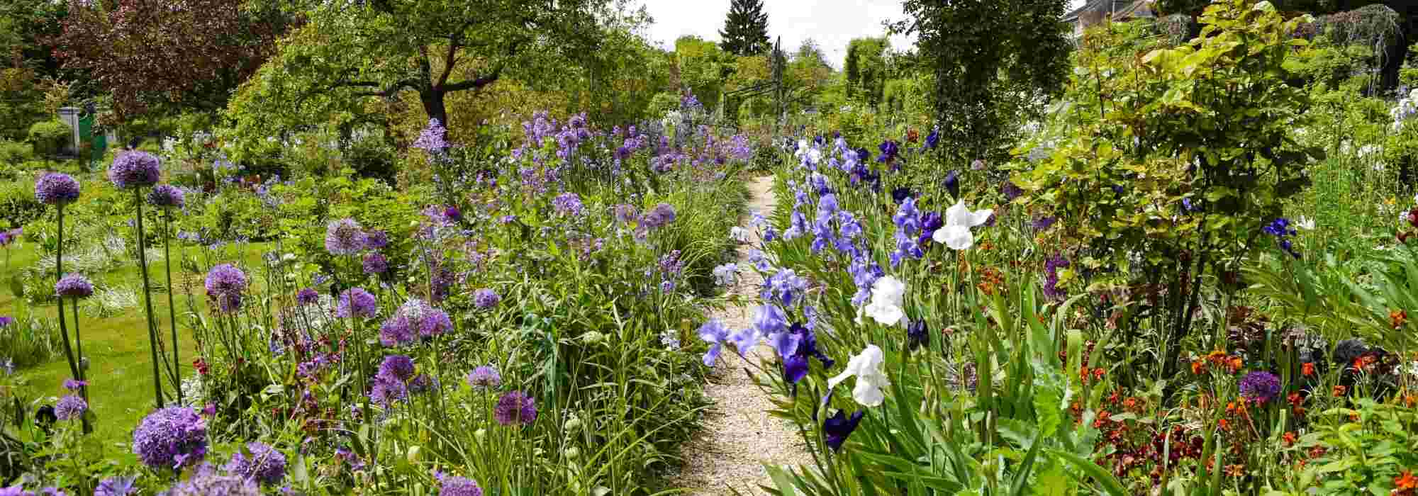 Criar um jardim azul