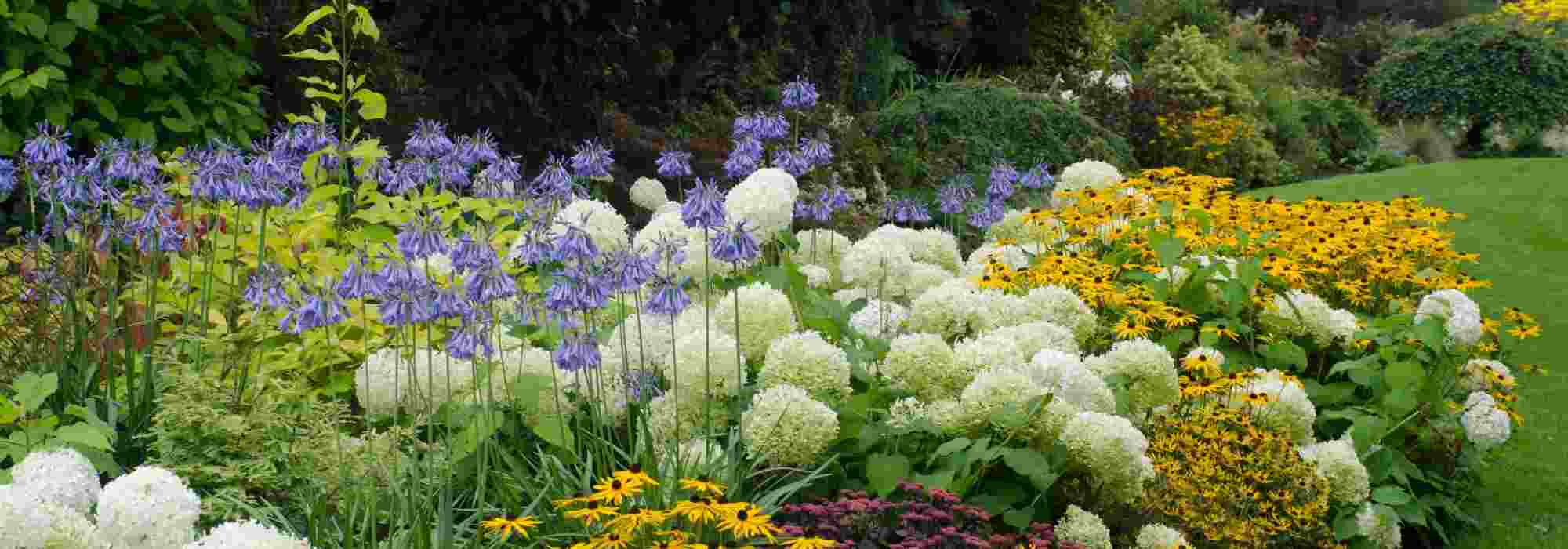 Combinar flores brancas