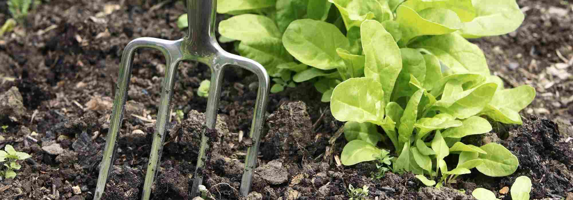 Para que serve uma forquilha de cavar ou uma forquilha de jardim?