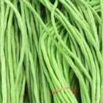 Feijão-aspargo: semear, cultivar e colher